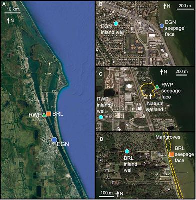 Biogeochemical and Hydrological Drivers of Heterogeneous Nutrient Exports From Subterranean Estuaries